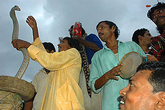 蛇,节日,西孟加拉,印度,七月,2005年
