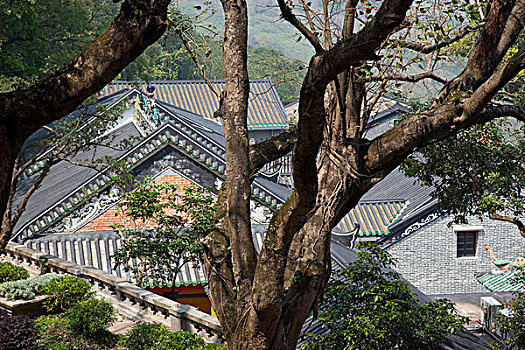 屋顶,神祠,掸邦,庙宇,新界,香港