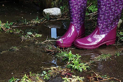 彩色,防水,胶靴,雨,洪水,园艺