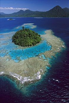 珊瑚礁,岛屿,湾,西部,新不列颠岛,巴布亚新几内亚