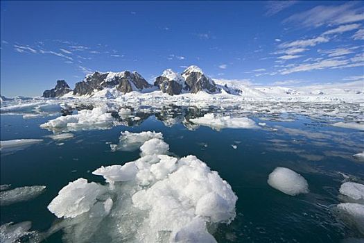 浮冰,正面,海岸线,西部,南极