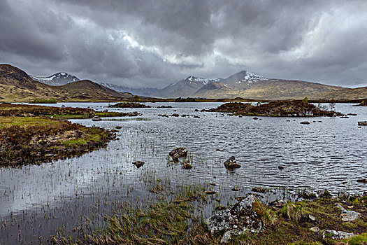 荒野,风景,河,乌云,兰诺克沼泽,苏格兰,英国