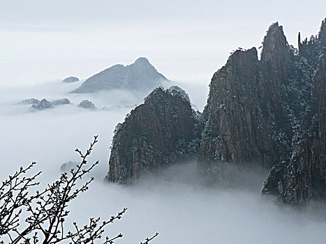 黄山,山峦,围绕,雾气,安徽