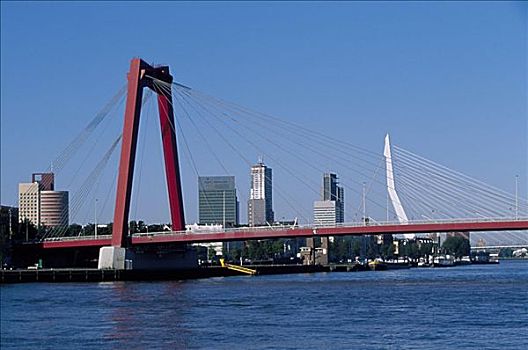 桥,河,鹿特丹,荷兰