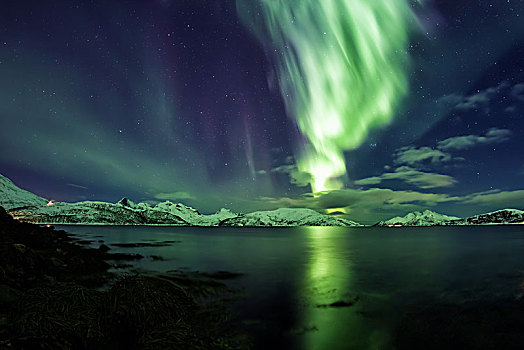 北极光,峡湾,特罗姆瑟,挪威,欧洲