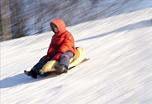 男孩,雪橇