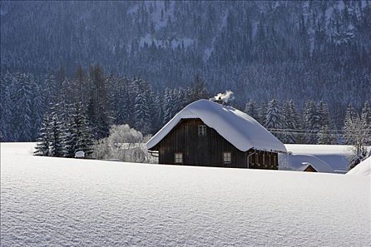 老,木屋,很多,雪,施蒂里亚,奥地利