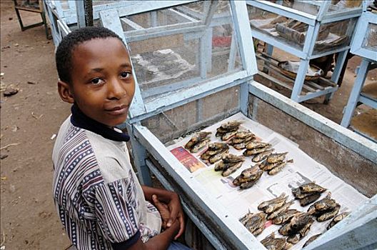 男青年,销售,鱼,市场,坦桑尼亚,非洲