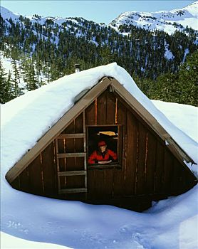 小屋,积雪,靠近,东南阿拉斯加,冬天,景色