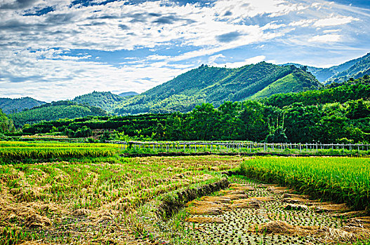 山野风光