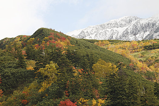 十胜岳山