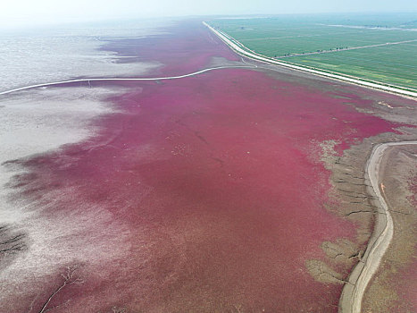 红海滩