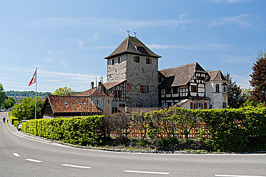 城堡,靠近,瑞士,欧洲