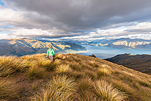 远足,女人,看,湖,山景,顶峰,奥塔哥,南岛,新西兰,大洋洲
