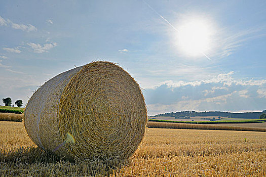 大捆,稻草,残梗地,普拉蒂纳特,巴伐利亚,德国