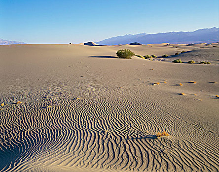 全景,沙漠,死亡谷国家公园,加利福尼亚,美国