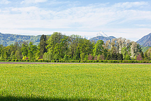 草地,城堡,正面,瓦茨曼山,萨尔茨堡州,奥地利