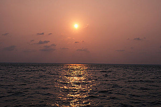 日落,上方,海洋,喀拉拉,印度