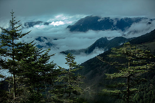 神农架,神农顶,风景,景点,旅游,高山,瀑布,河流,神秘,树木,植被,石头,鄂西,云海,峡谷,壮观