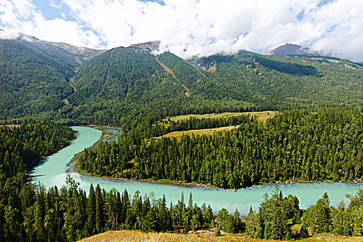 新疆,阿勒泰,喀纳斯湖,自然风景,旅行