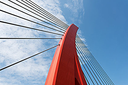 鹿特丹大桥伊拉斯谟斯大桥