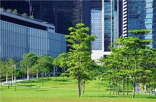 绿地,树,中央商务区