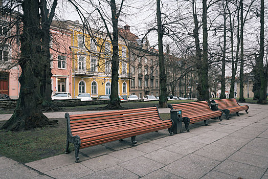 冬天北欧公园里的木质长椅