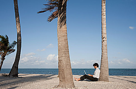 商务人士,坐,棕榈树,海滩,使用笔记本