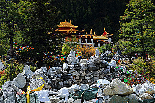 四川亚丁风景区冲古寺湿地