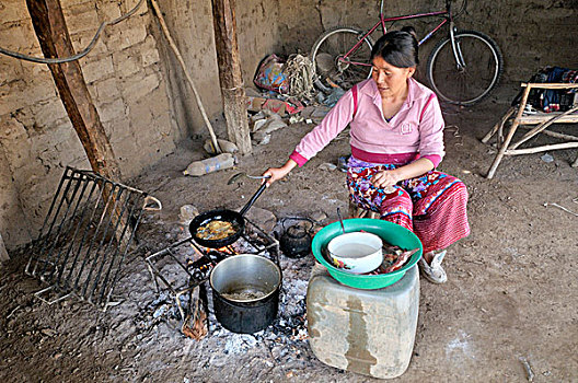 地方特色,女人,印第安人,部落,31岁,烹调,简单,厨房,原木,火,奶奶,查科,阿根廷,南美