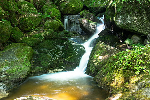 树林,山川