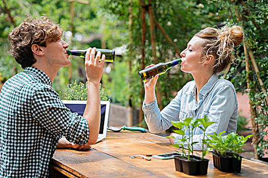 情侣,喝,啤酒,花园