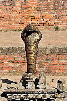 青铜,眼镜蛇,老马,历史,地区,巴克塔普尔,世界遗产,加德满都,尼泊尔,亚洲