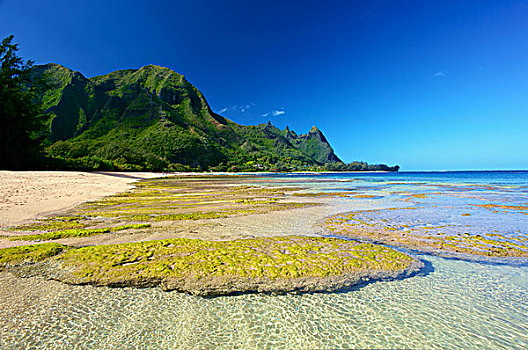 海草,石头,清水,海滩,隧道,考艾岛,夏威夷,美国