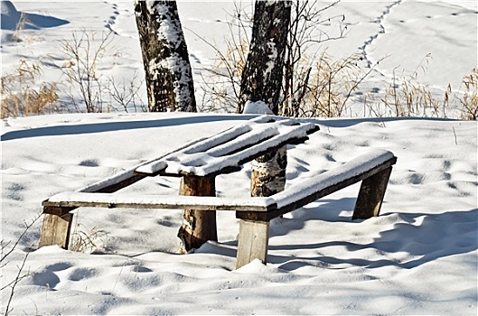 桌子,长椅,冬天,树林