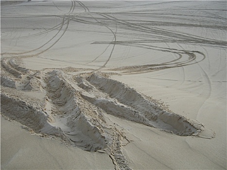 沙丘,轮子,痕迹