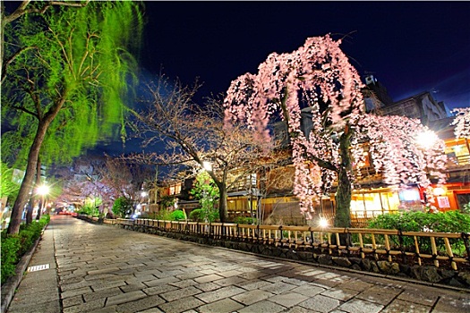 袛园,京都