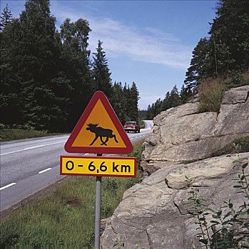 交通标志,驼鹿,标识,哥德堡,瑞典,斯堪的纳维亚,欧洲,路标