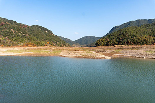 小芝红杉林,小芝红树林