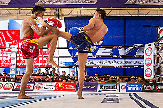 泰国人,拳击,两个男人,争斗,拳击场,泰国,亚洲