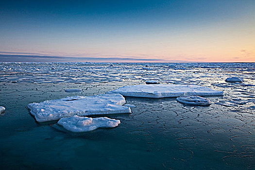浮冰,哈得逊湾,海岸,靠近,河,河口,北方,丘吉尔市,曼尼托巴,加拿大