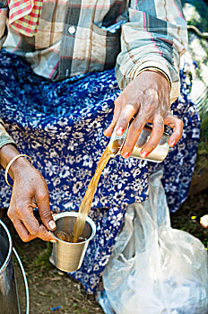 采茶,喀拉拉,印度