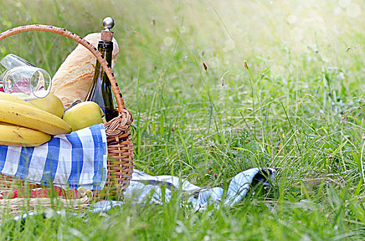 野餐篮,水果,葡萄酒,面包,草地,毯子,旁白