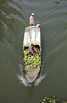 运输,椰子,船,湄公河三角洲,越南,亚洲