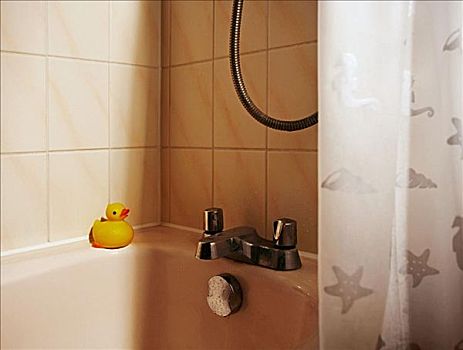 橡皮鸭,边缘,浴室