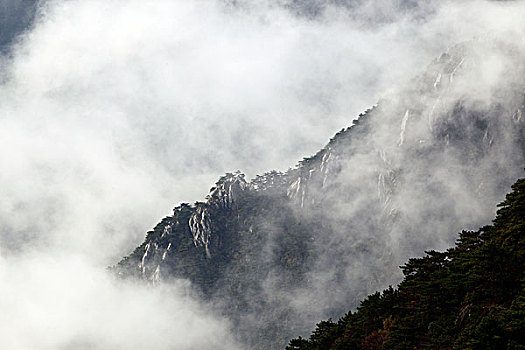 山,云海,雾