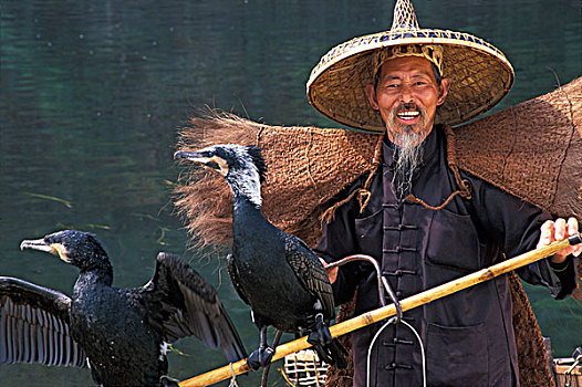 渔民,戴着,竹子,帽子,稻草,外套,鸬鹚,漓江,广西,中国