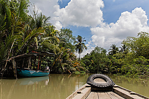 平静,水道,茂密植被,船,旅游,湄公河三角洲