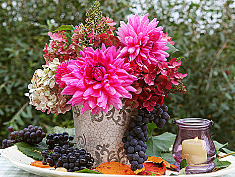 秋天,花束,大丽花,葡萄,灯笼,花园桌