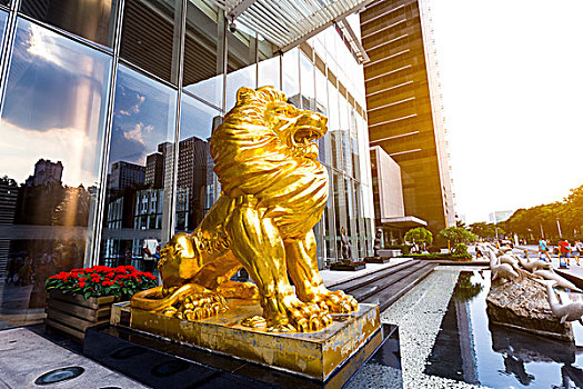 现代办公室,建筑,金色,石狮